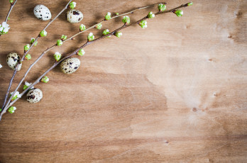 Картинка праздничные пасха праздник яйца ветки