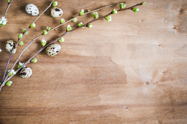 Обои картинки фото праздничные, пасха, праздник, яйца, ветки