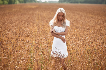 Картинка катя+котаро девушки поле блондинка платье