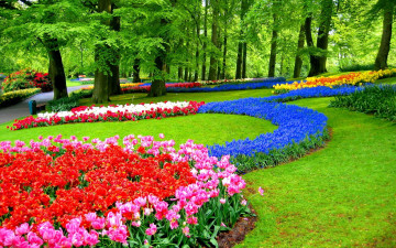 Картинка keukenhof+gardens природа парк keukenhof gardens