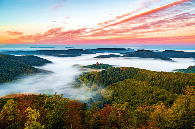 Обои картинки фото palatinate forest, germany, природа, лес, palatinate, forest