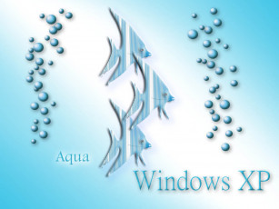 Картинка компьютеры windows xp