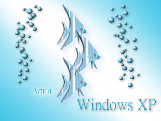 Обои картинки фото компьютеры, windows, xp