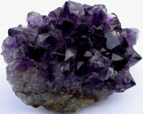 Картинка разное ракушки кораллы декоративные spa камни