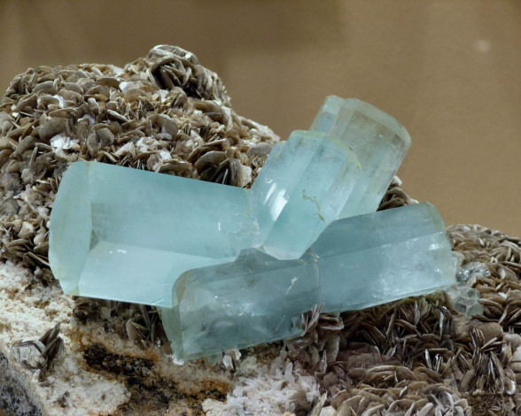 Обои картинки фото разное, ракушки, кораллы, декоративные, spa, камни