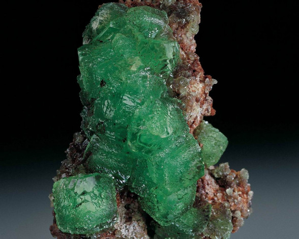 Обои картинки фото разное, ракушки, кораллы, декоративные, spa, камни