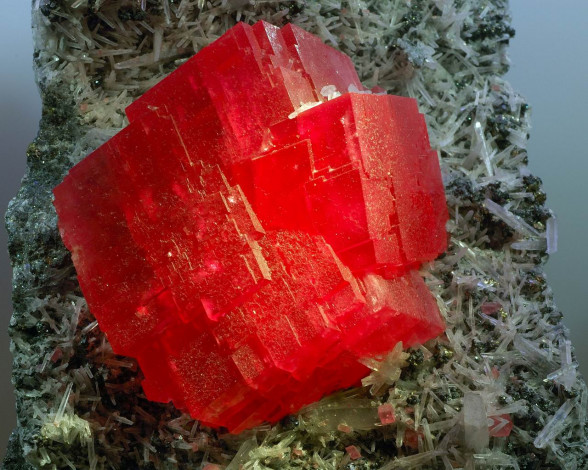 Обои картинки фото разное, ракушки, кораллы, декоративные, spa, камни