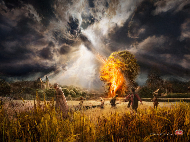 Обои картинки фото бренды, stella, artois