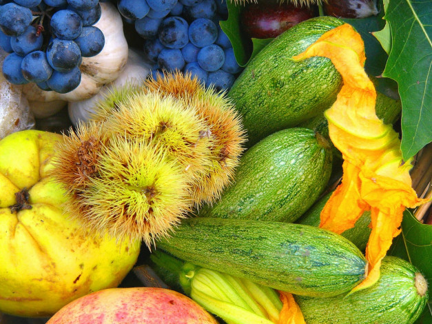 Обои картинки фото еда, фрукты, овощи, вместе