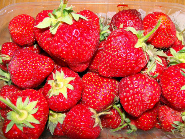 Обои картинки фото еда, клубника, земляника, спелая, сочная