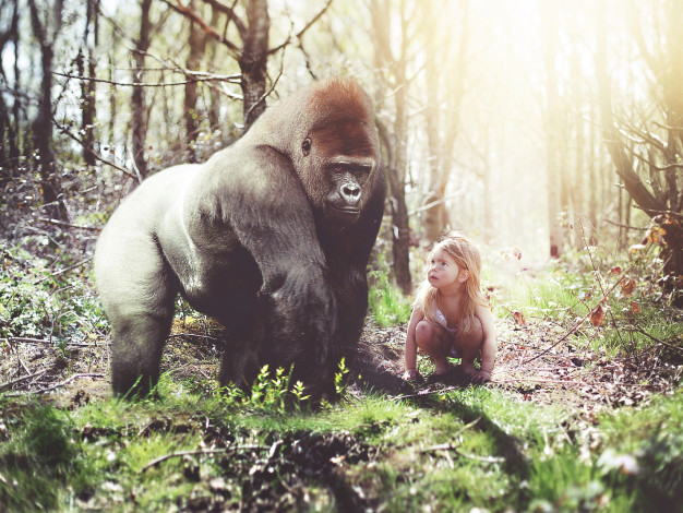 Обои картинки фото разное, компьютерный, дизайн, лес, обезьяна, горилла, девочка, ситуация