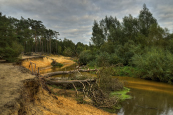 Картинка природа реки озера обрыв река лес