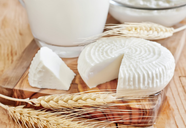 Обои картинки фото еда, сырные изделия, сыр, колоски