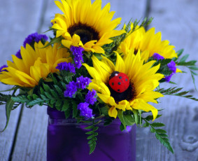 Картинка цветы букеты +композиции коровка божья подсолнух