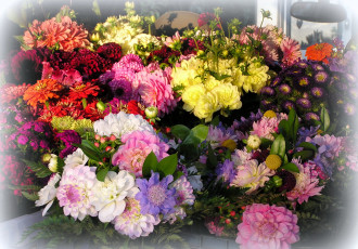 Картинка цветы разные+вместе гвоздики хризантемы георгины циннии