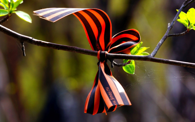 Обои картинки фото праздничные, день победы, 9, мая