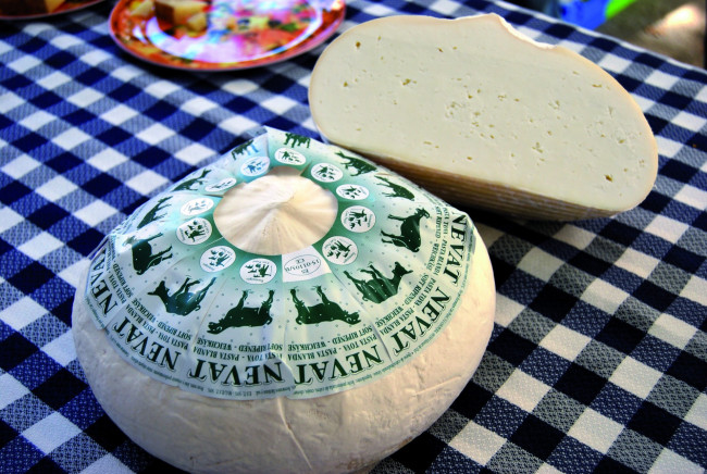 Обои картинки фото nevat, еда, сырные изделия, сыр