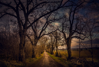 Картинка природа дороги тракт