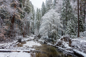 Картинка природа зима снег