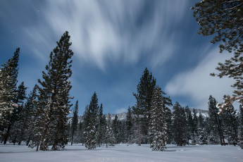 Картинка природа зима снег