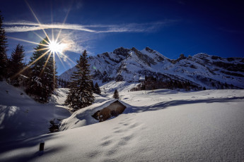 Картинка природа зима снег