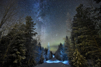 Картинка природа зима снег