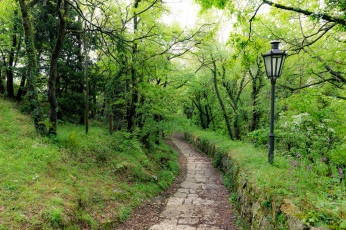 Картинка природа дороги тракт