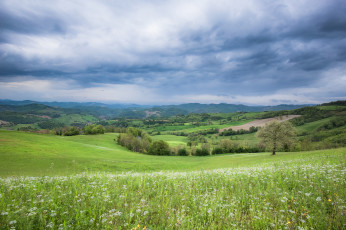 Картинка природа луга простор