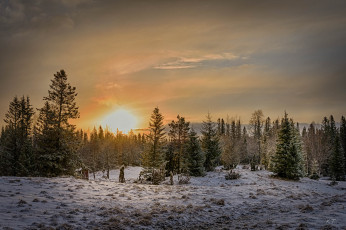 Картинка природа зима снег