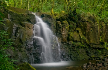 Картинка природа водопады лес водопад река