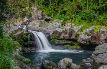 Картинка природа водопады водопад река лес