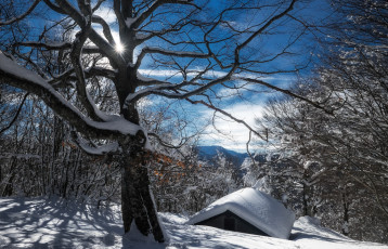 Картинка природа зима снег