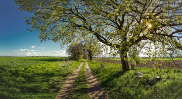 Картинка природа дороги тракт