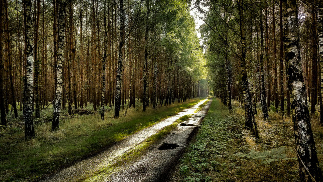 Обои картинки фото природа, дороги, тракт