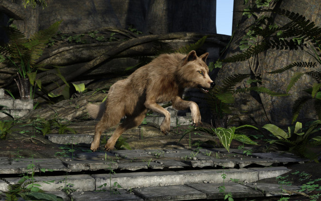 Обои картинки фото 3д графика, животные , animals, фон, волк