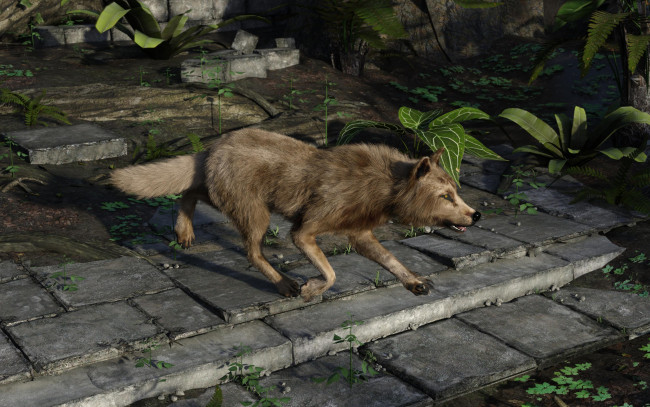 Обои картинки фото 3д графика, животные , animals, фон, волк