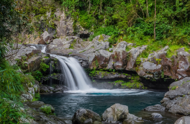 Обои картинки фото природа, водопады, водопад, река, лес