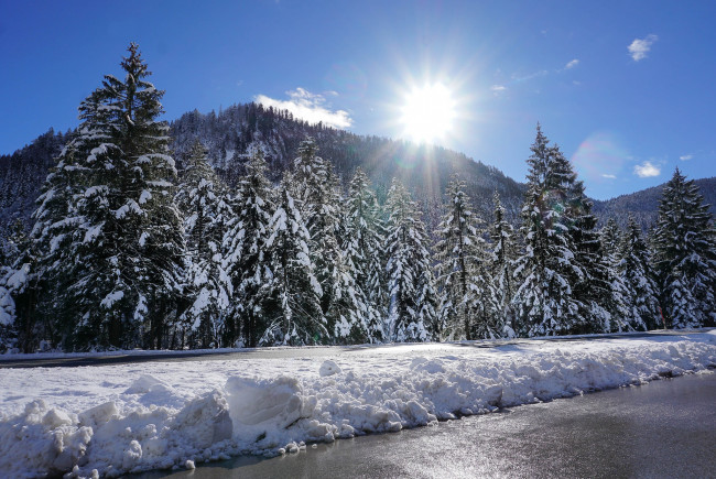 Обои картинки фото природа, зима, снег