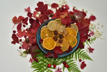 Картинка еда цитрусы снедь