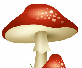 Картинка векторная+графика другое+ other мухомор гриб