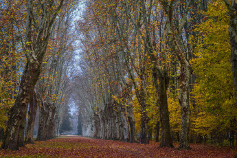 Картинка природа дороги простор