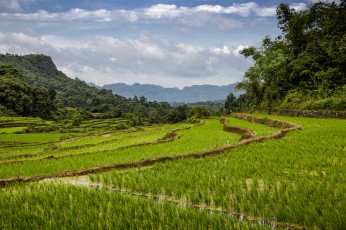 Картинка природа пейзажи простор