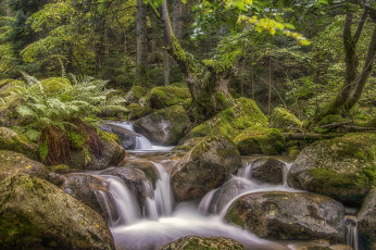 Картинка природа реки озера простор