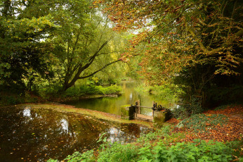 Картинка природа реки озера простор