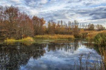 Картинка природа реки озера простор