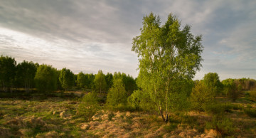 Картинка природа пейзажи простор