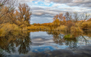 Картинка природа реки озера простор