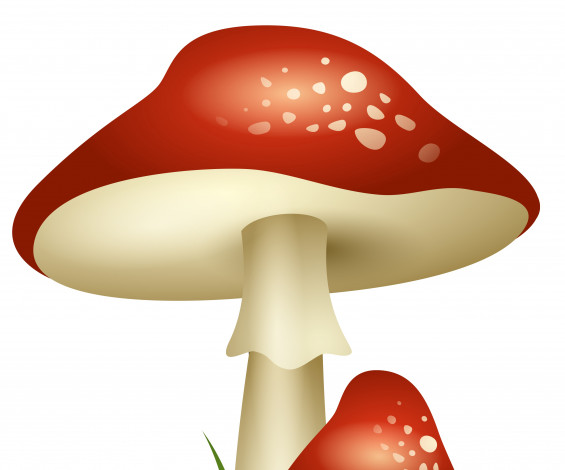 Обои картинки фото векторная графика, другое , other, мухомор, гриб