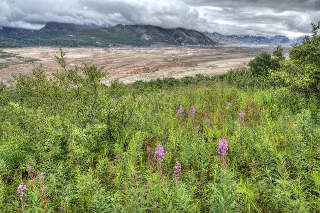 Обои картинки фото природа, пейзажи, простор