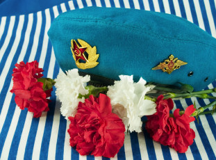 Картинка разное одежда +обувь +текстиль +экипировка берет кокарда цветы тельняшка